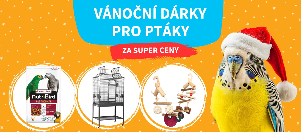 vanoce_ptaci